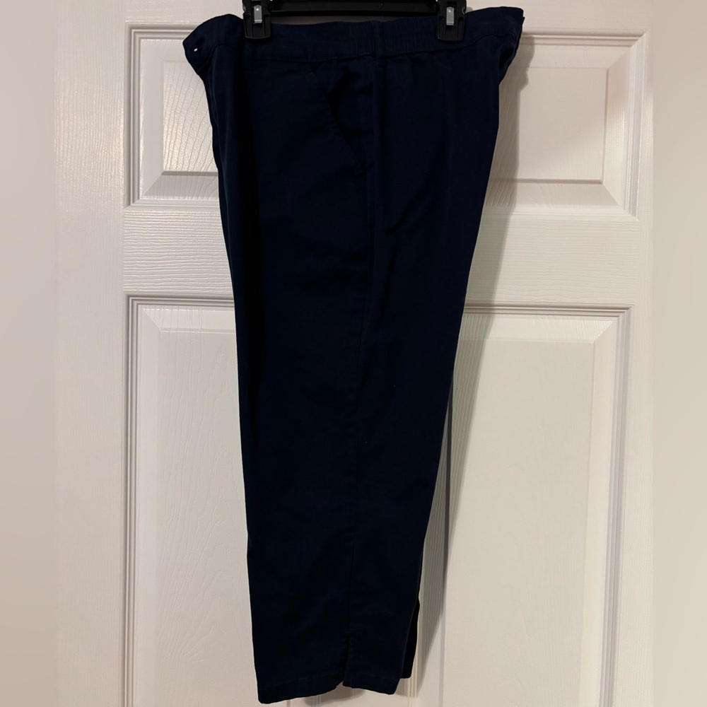 Style & Co. Blue Capris Pants